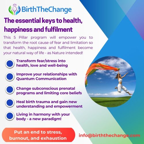 BirthTheChange Foundation Course